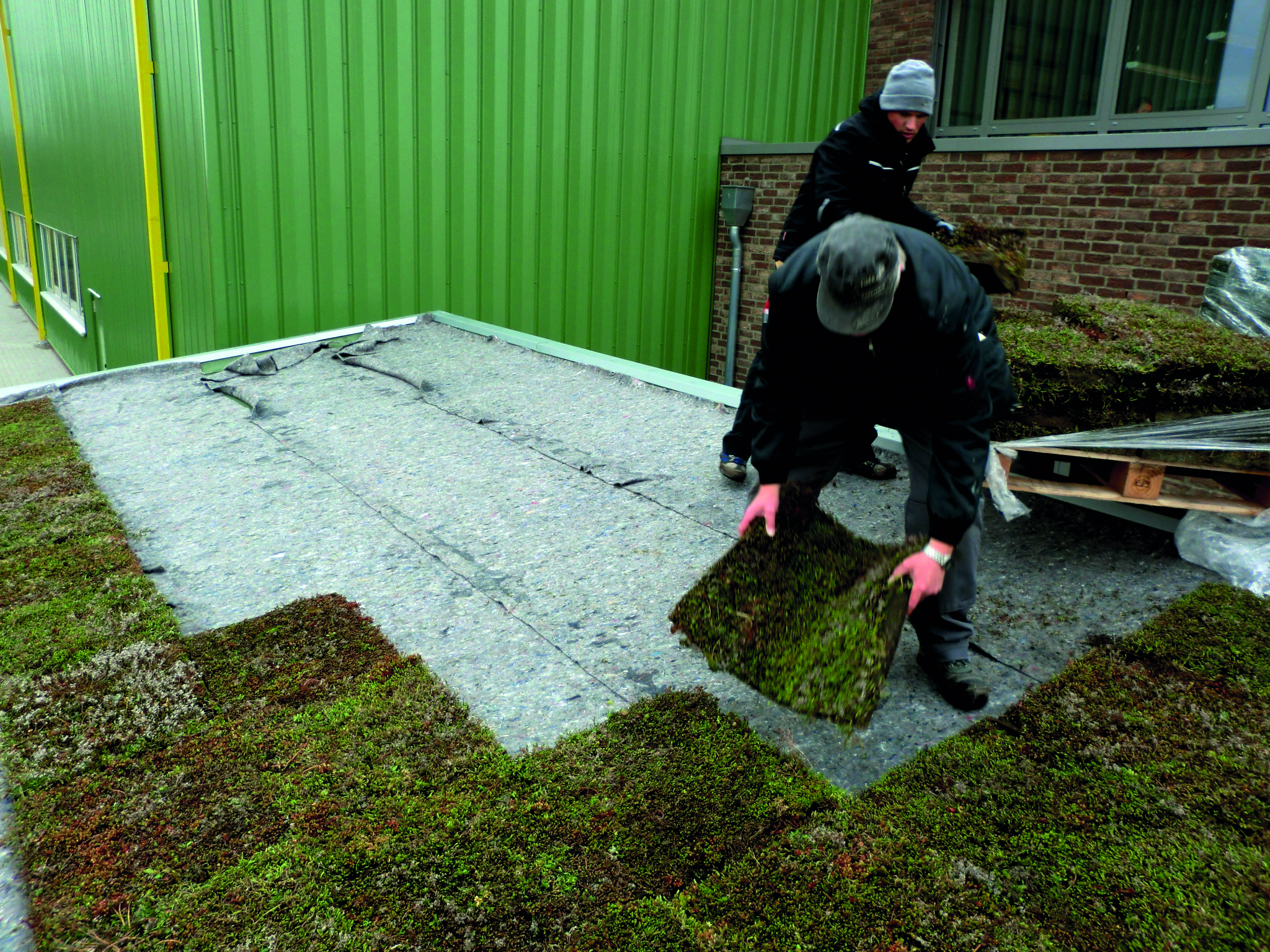 Einbau Sky Garden Dachgartenkassette